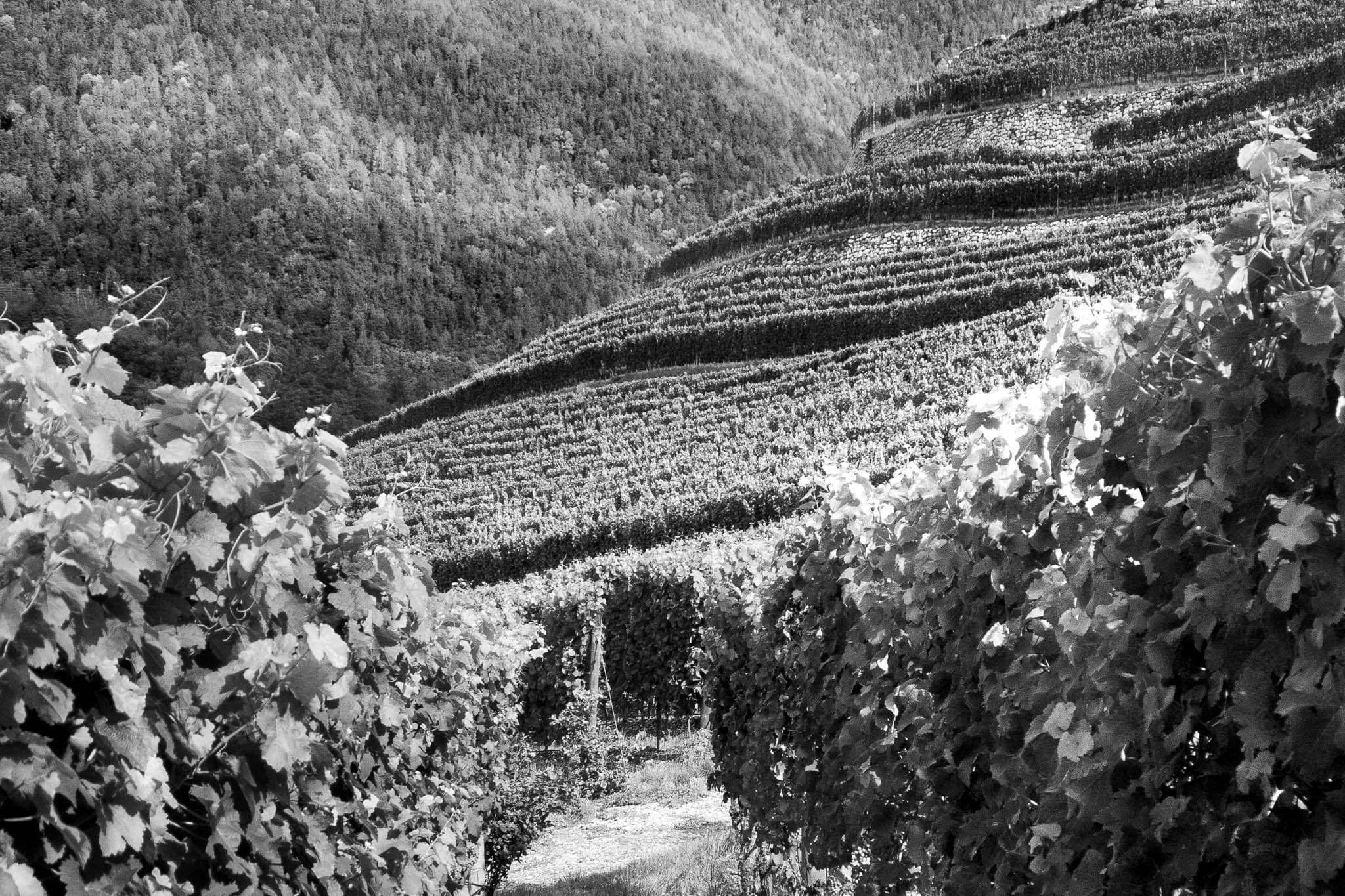 Bg2 - black-and-white