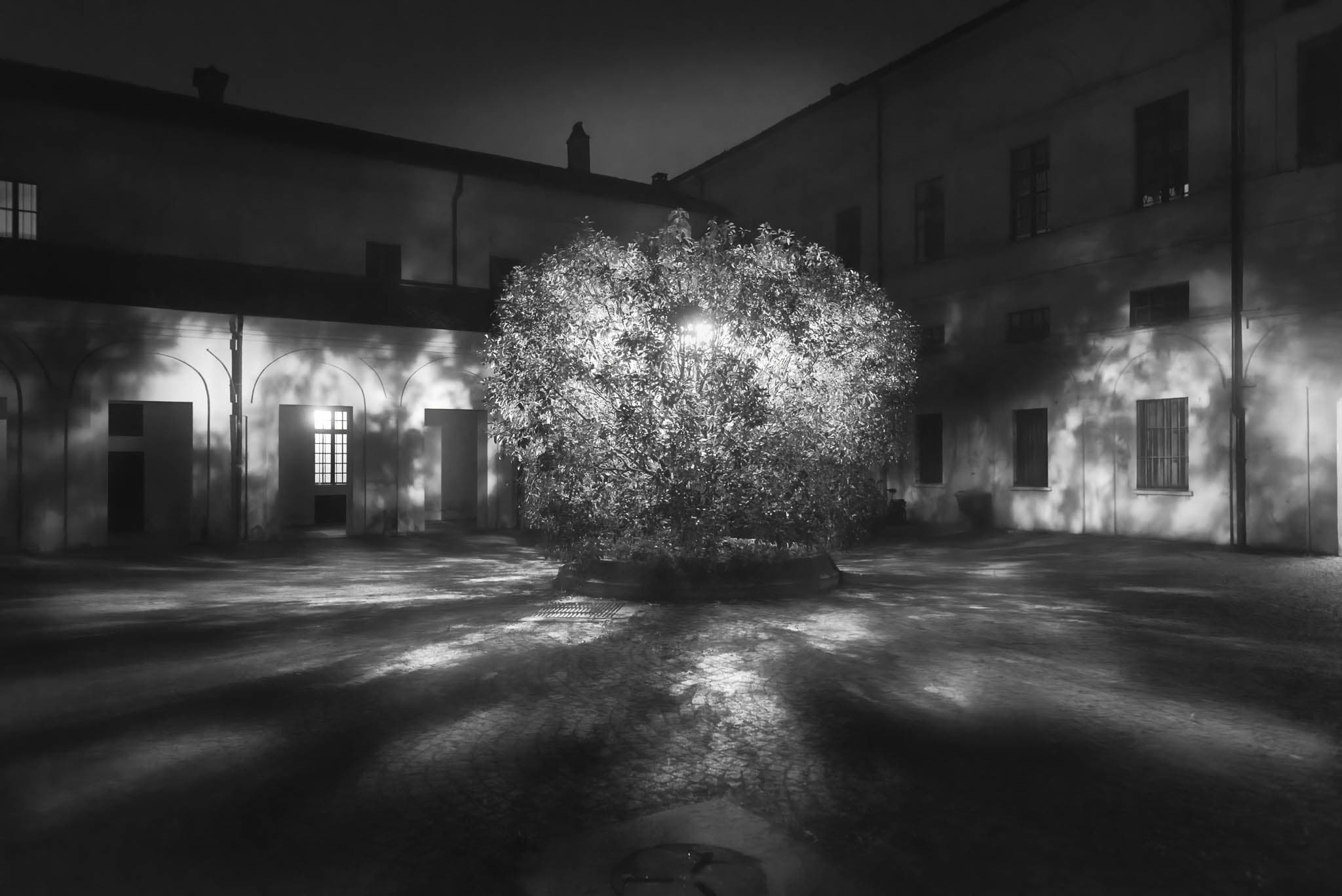 Bg3 - black-and-white